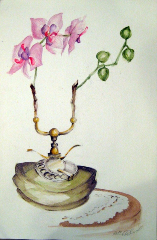 Телефон орхидея