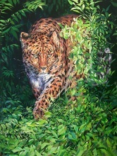 Хозяин тайги - Дальневосточный леопард